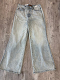 Judy Blue Retro Wide Leg Plus Jeans